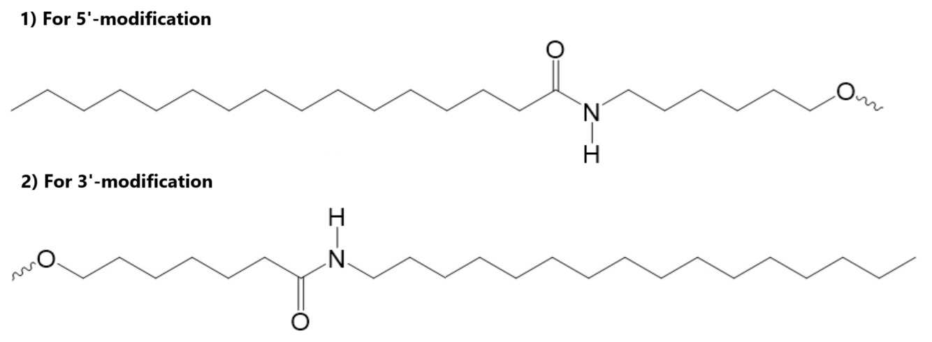 Bio-Synthesis Inc. Oligo Structure